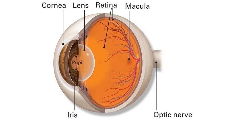 Lasik eye surgery